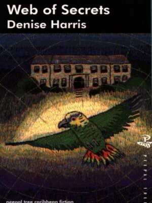 cover image of Web of Secrets